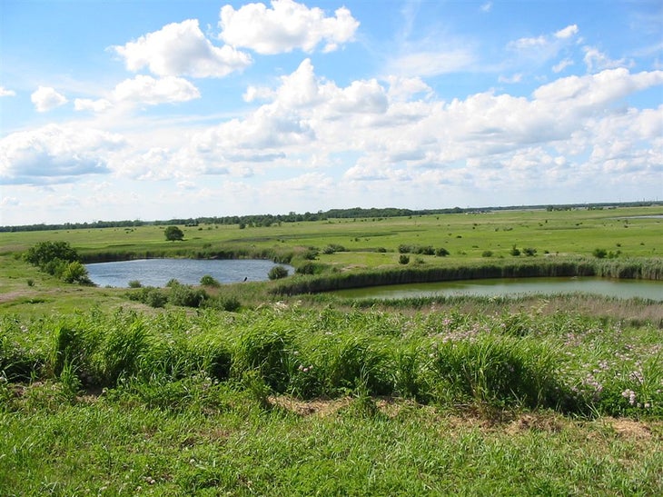 Prairie View Trail None