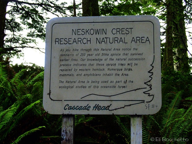 Preserve Sign None