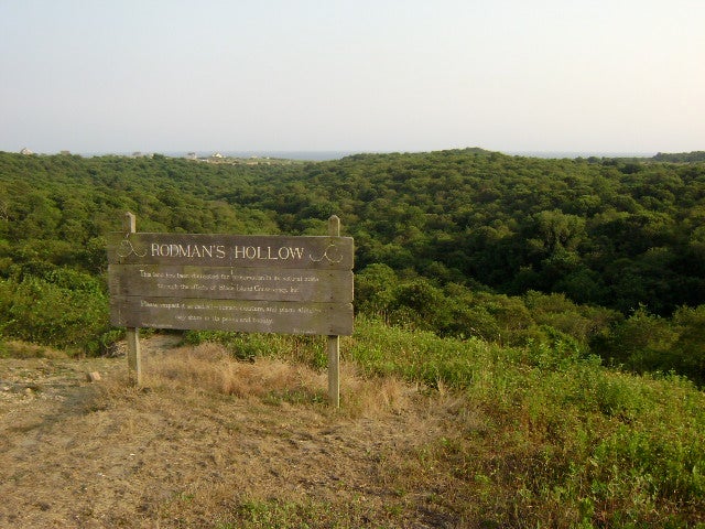 Preserve Sign None