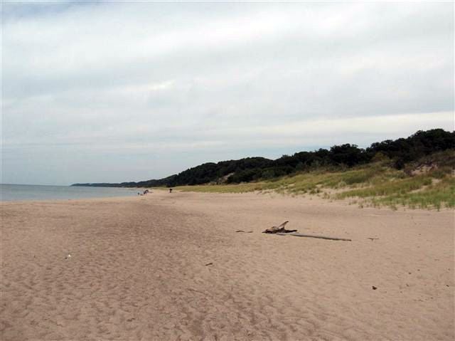 Chicago, IL: Warren Dunes State Park Loop