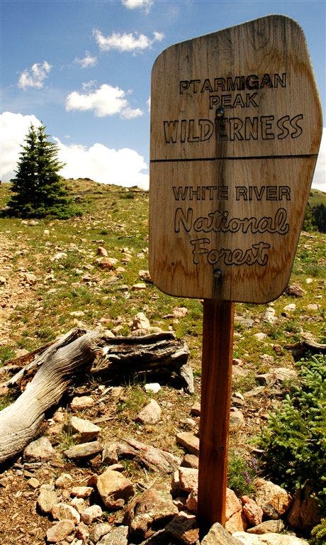 Ptarmigan Peak Wilderness None