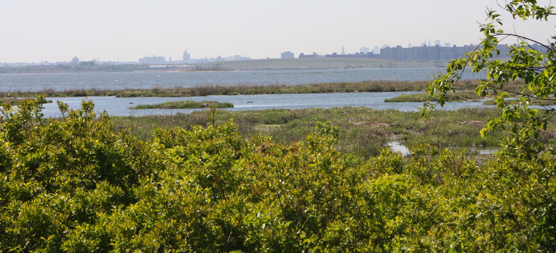 Pumpkin Patch Channel and Black Bank Marsh None