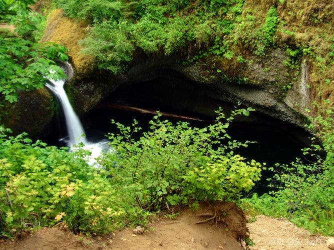 Punchbowl Falls None