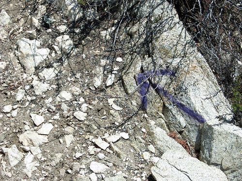 Purple Arrow None
