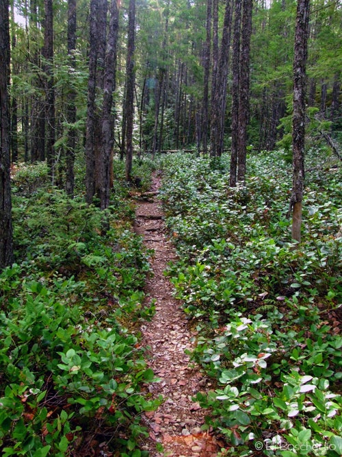 Pyramid Trail None