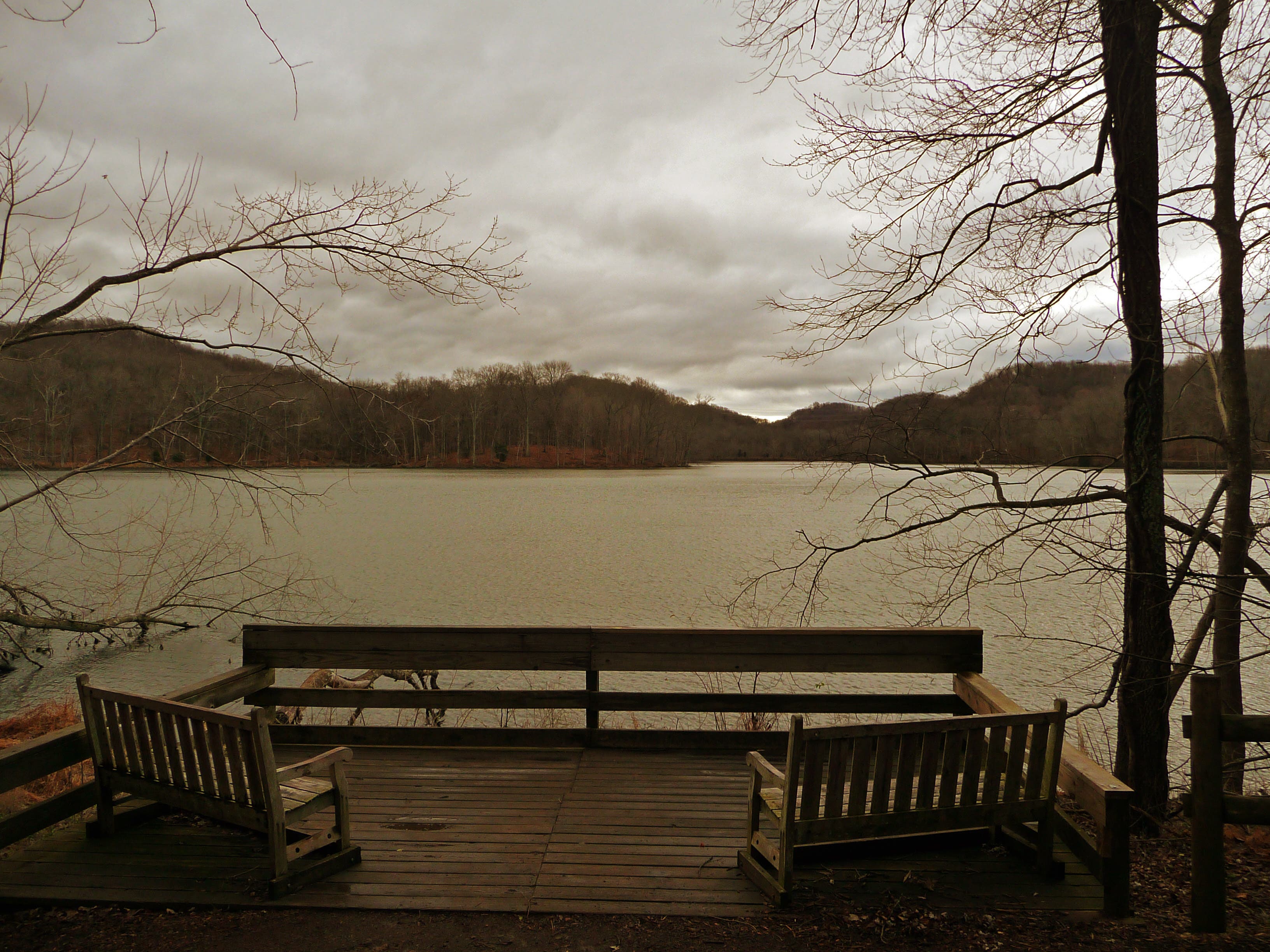 Radnor Lake None