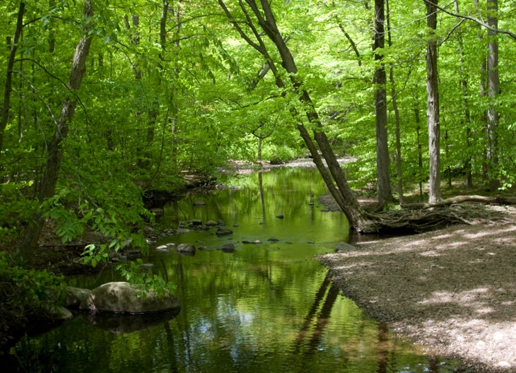 Rahway River None
