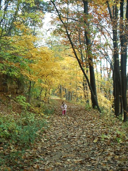 Railroad Trail None