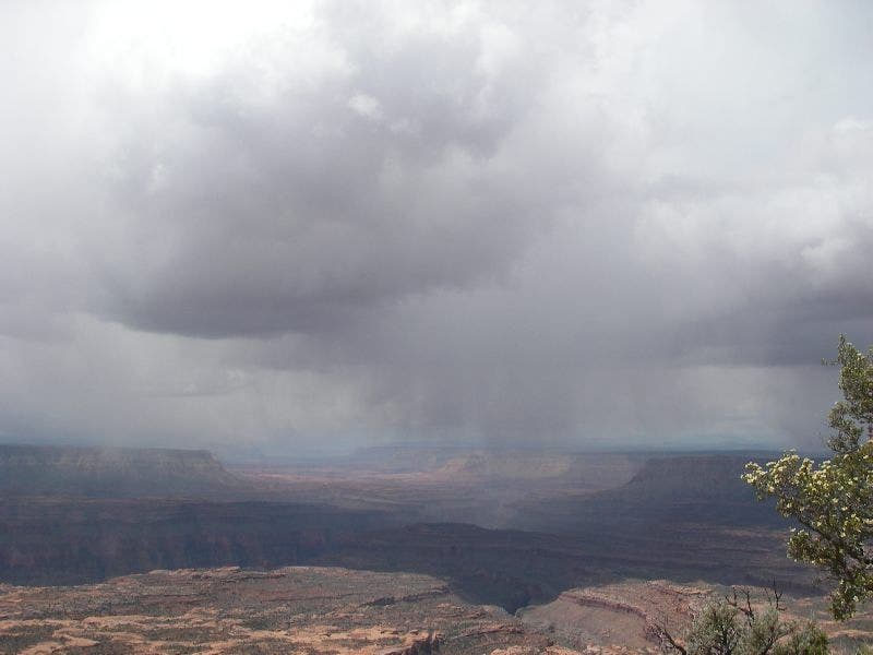 Rain over the canyon None