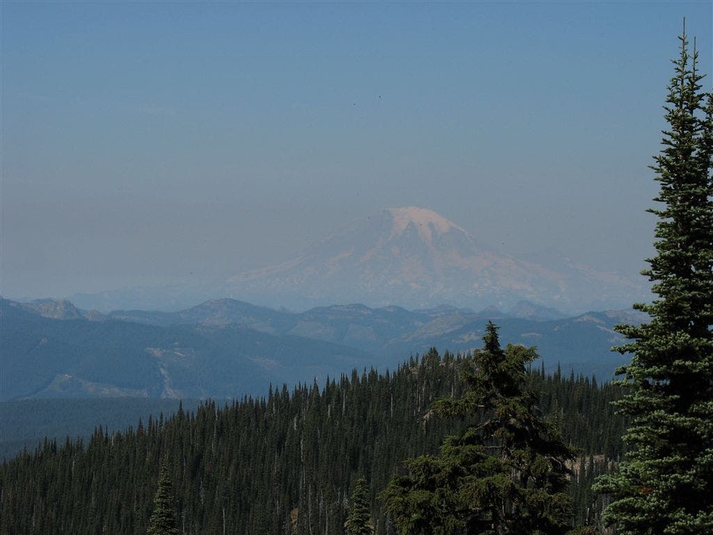 Rainier in the foreground None