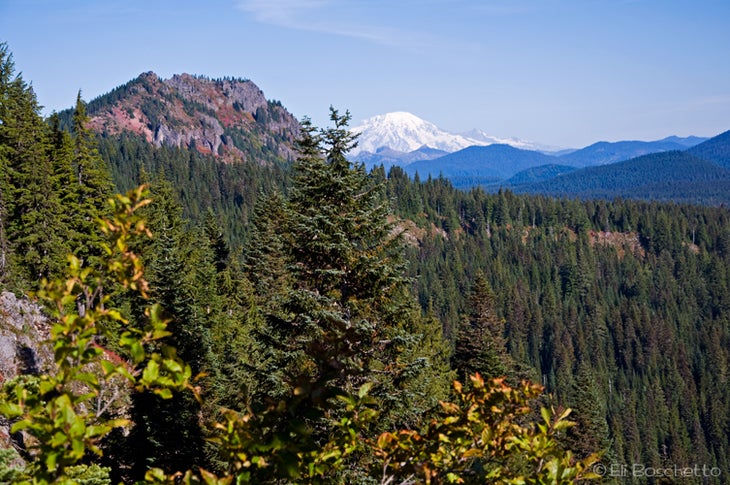 Rainier View None