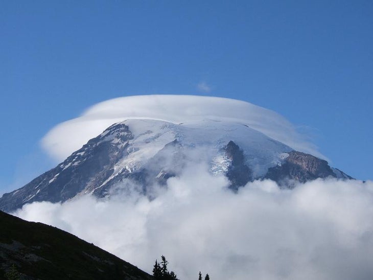 Rainier None