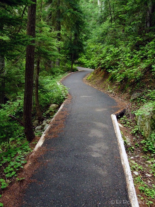Rainy Lake Trail None