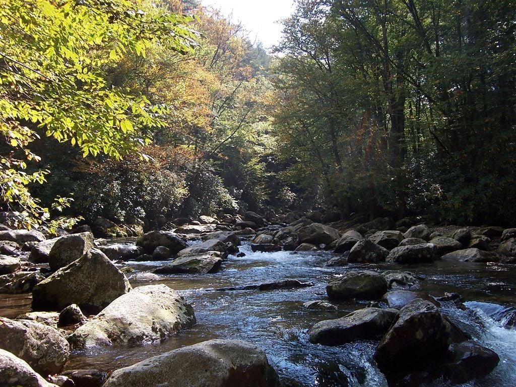 Planning a Backcountry Fly Fishing Trip to Great Smoky Mountains National  Park – Part 0