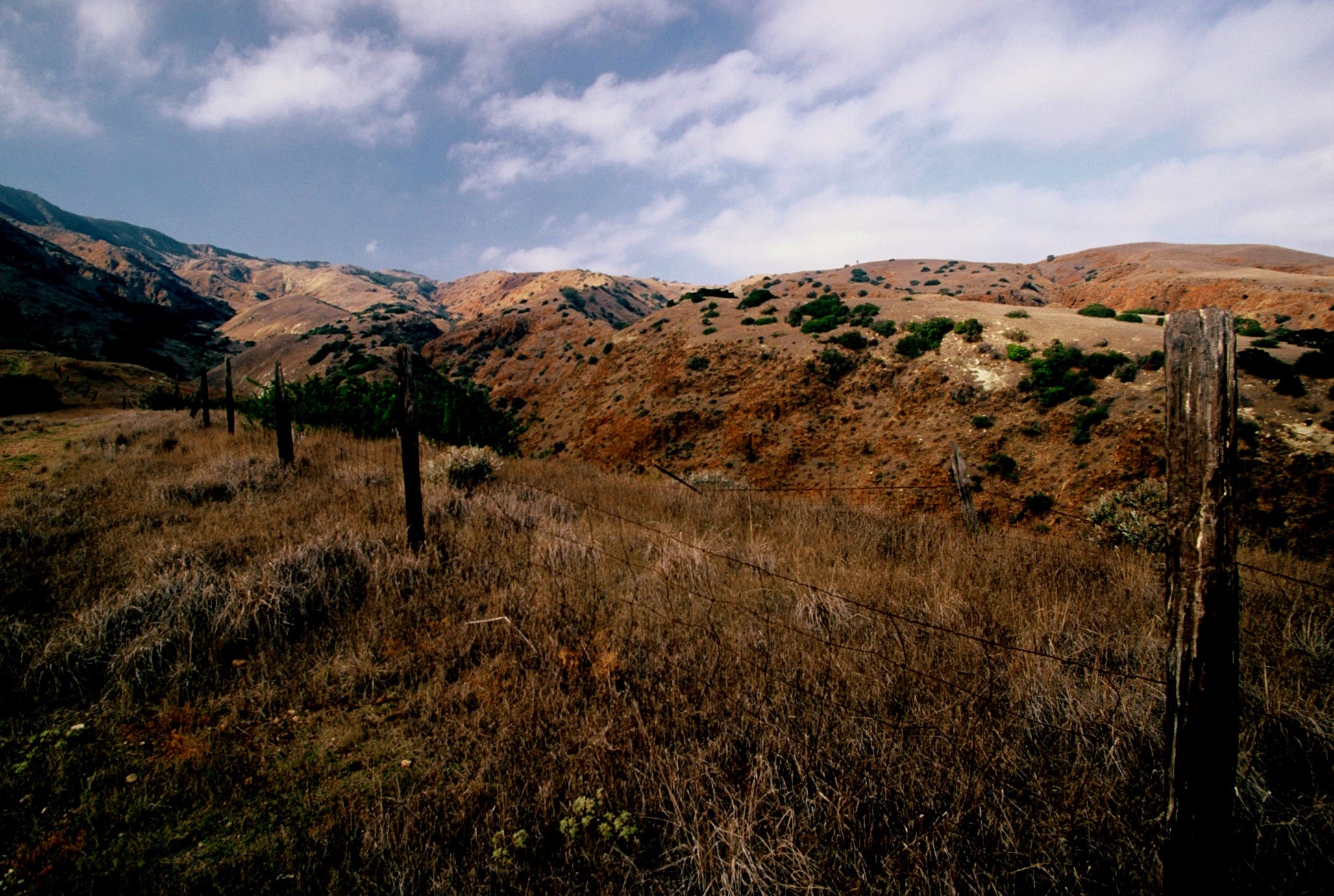 Ranching and Trail to Yellow Banks.jpg None