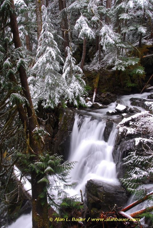 Ranger Falls None