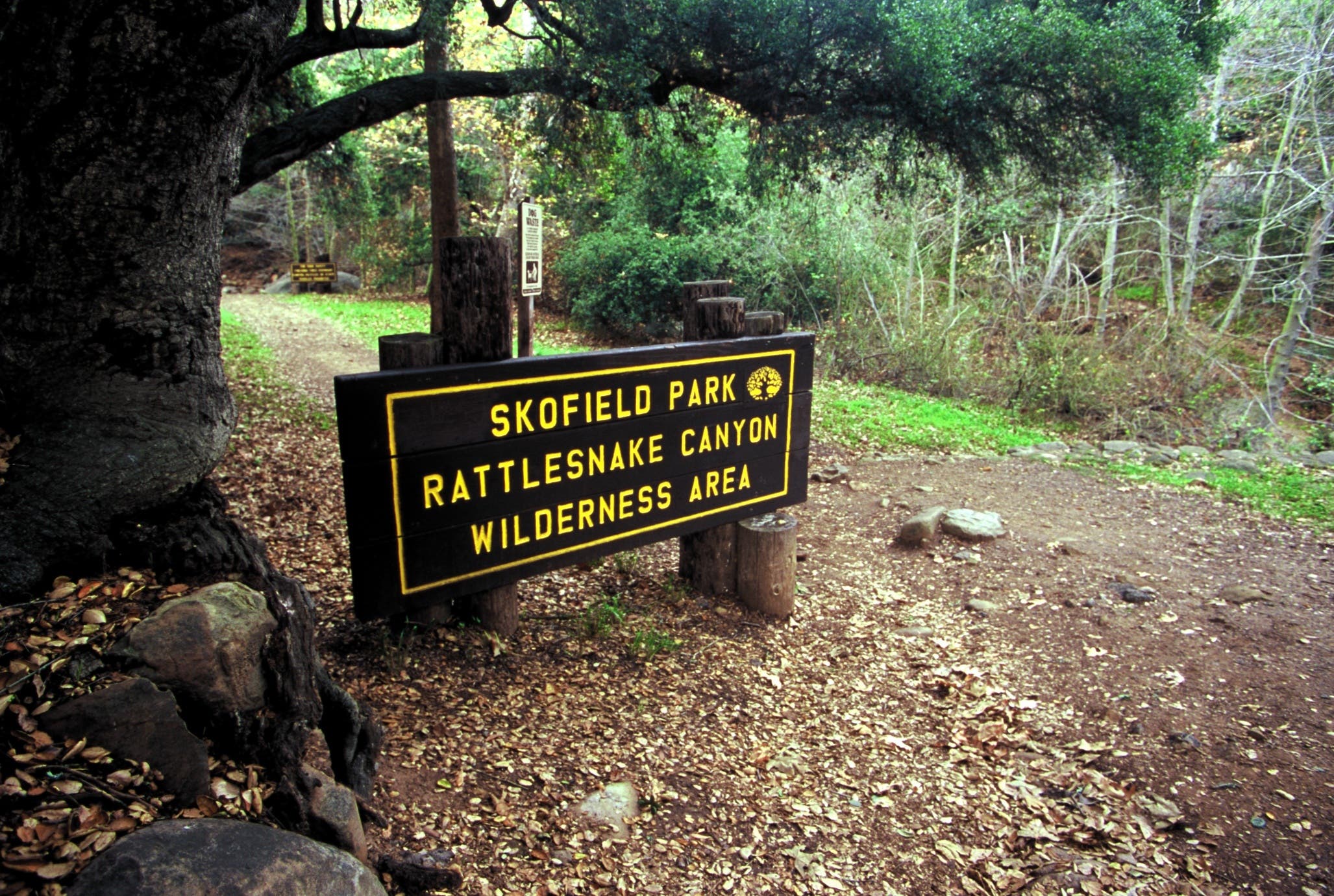 Rattlesnake Trailhead None