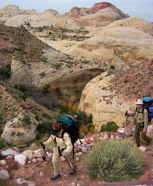 Redrock Domes None