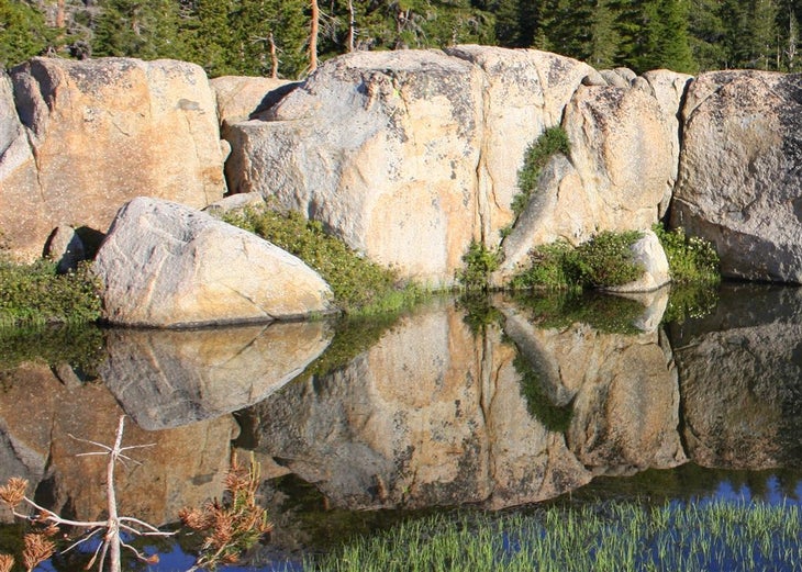 Reflection None