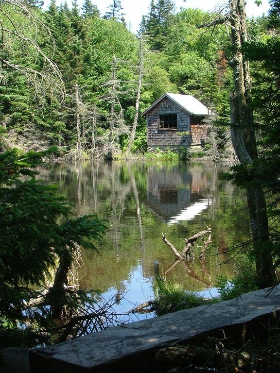 Reflection of hut in pond None