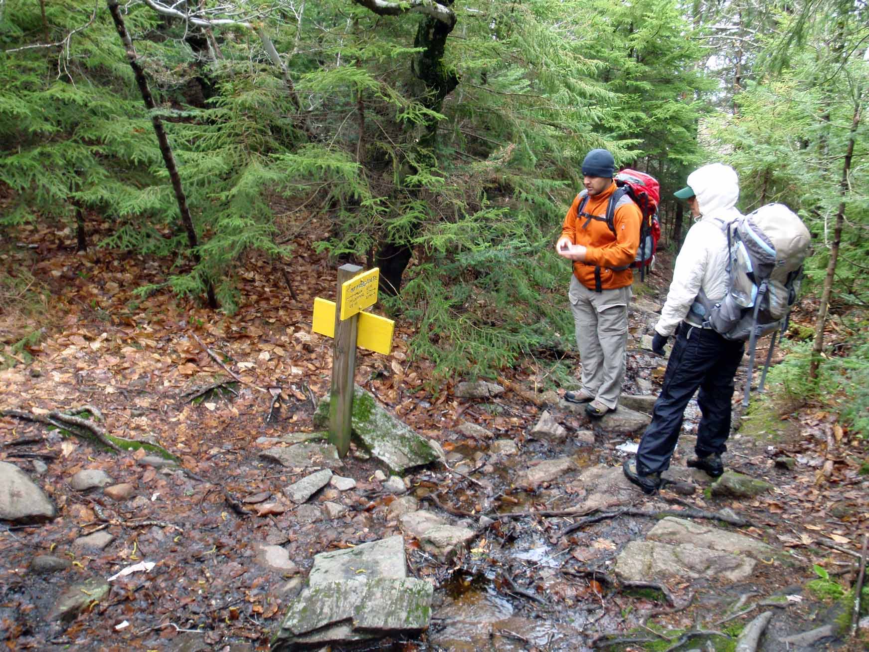 Rejoining Ridgepole None