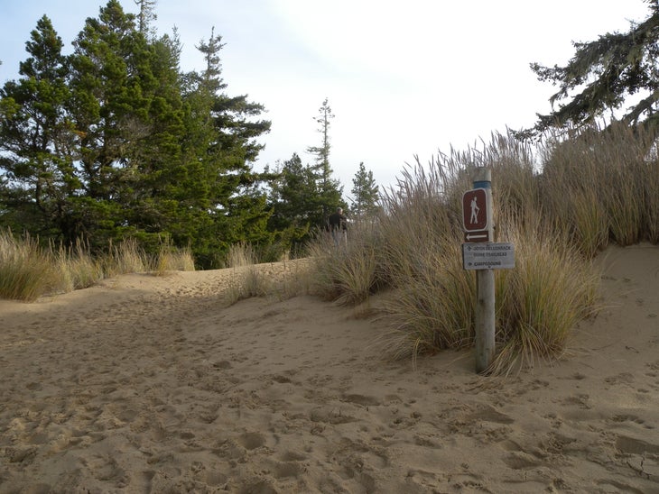 Return Trail None