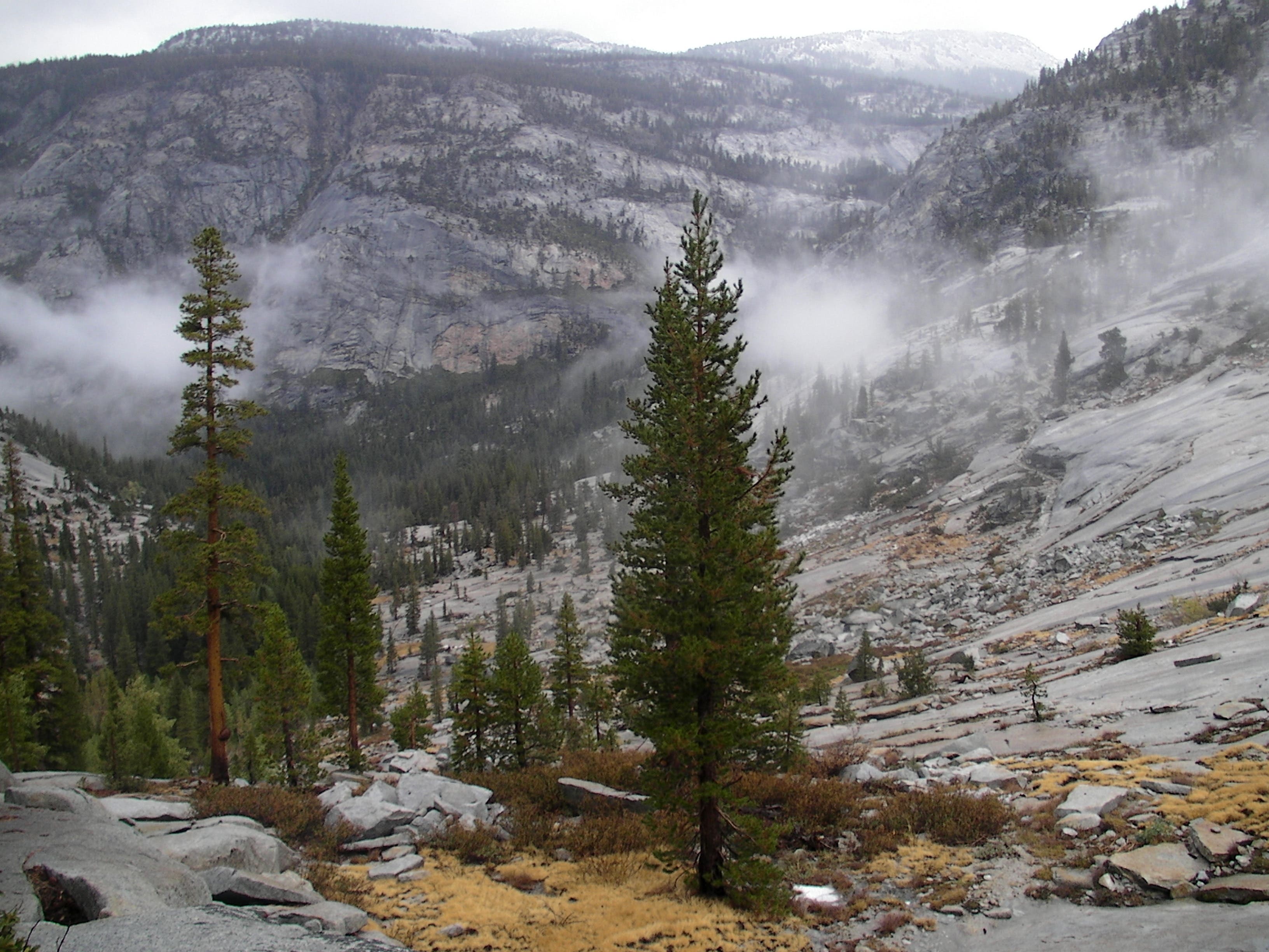 Returning To Main Trail None