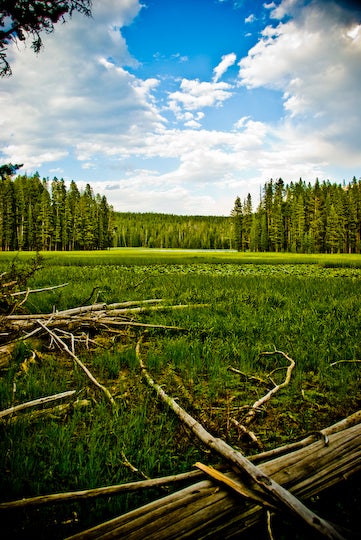 Ribbon Lake None