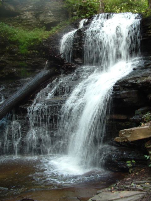 Ricketts Falls None
