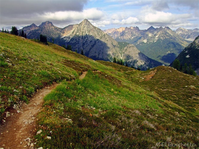 Ridge Meadow None