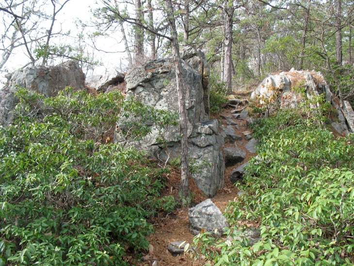 Ridge Scramble None