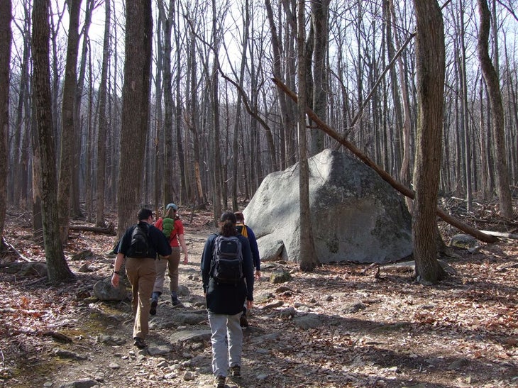 Ridge Trail None