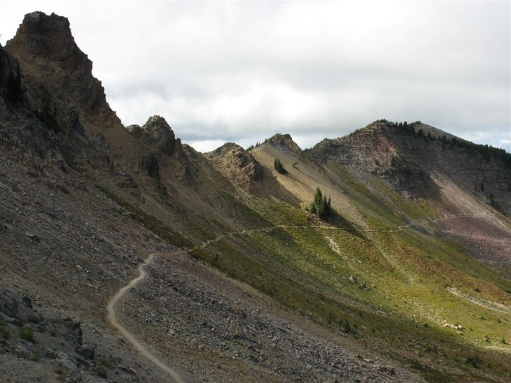 Ridge trail None