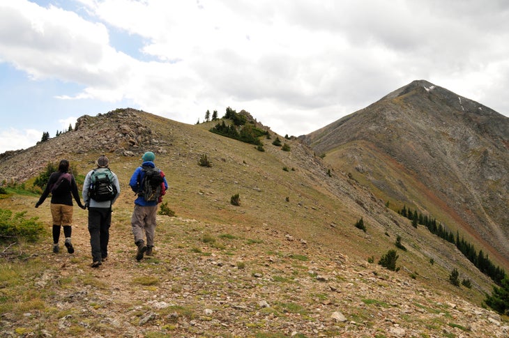 Ridgeline None
