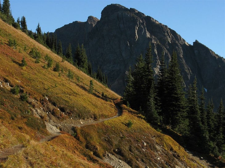 Ridgeline None