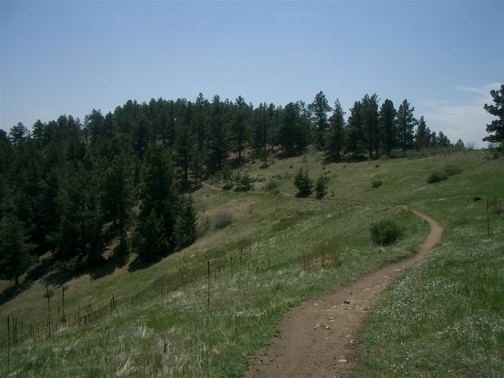 Ridgeline Meadow None