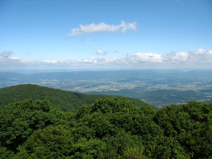 Ridgeline View None