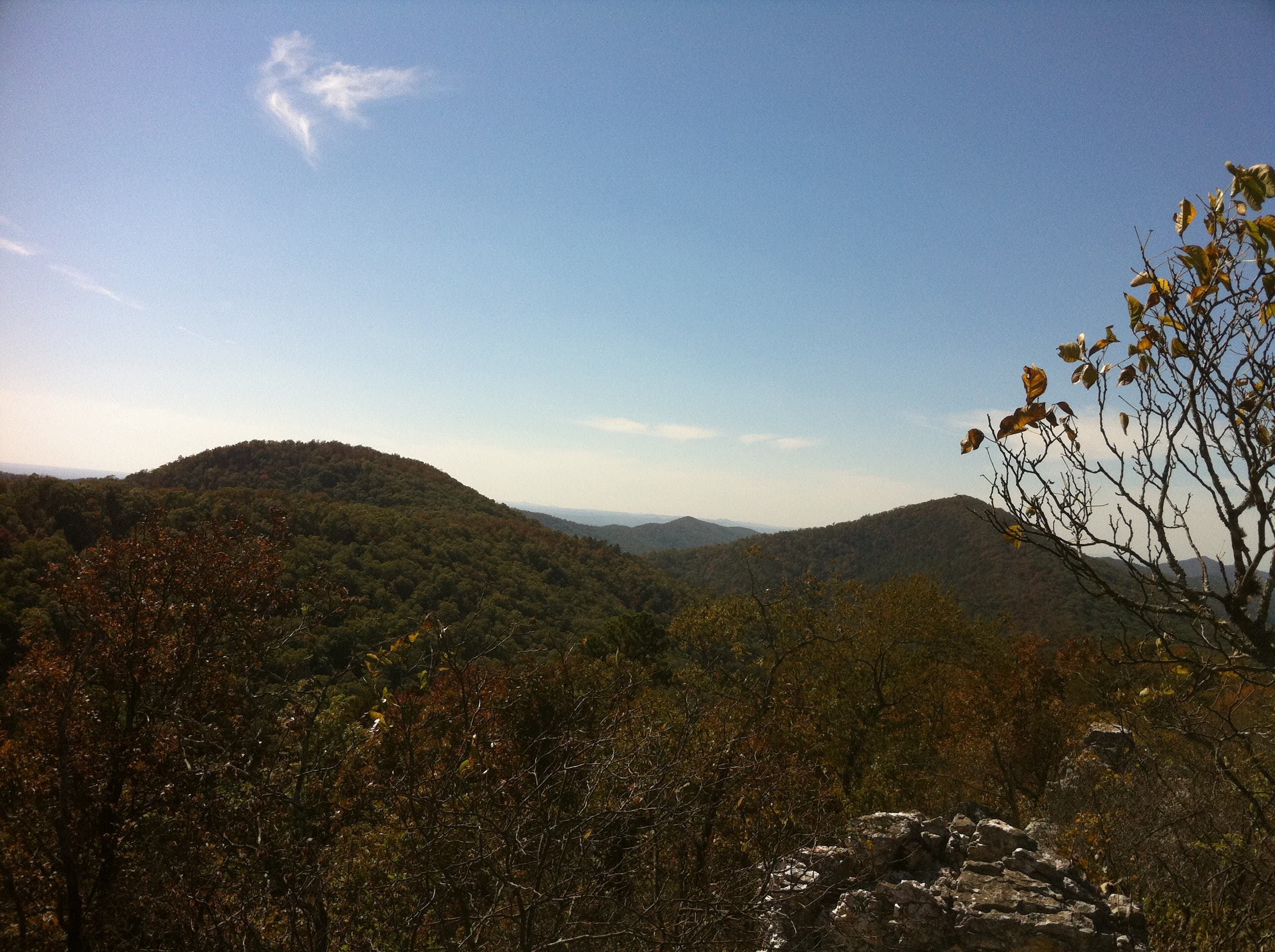 Ridgeline Views None