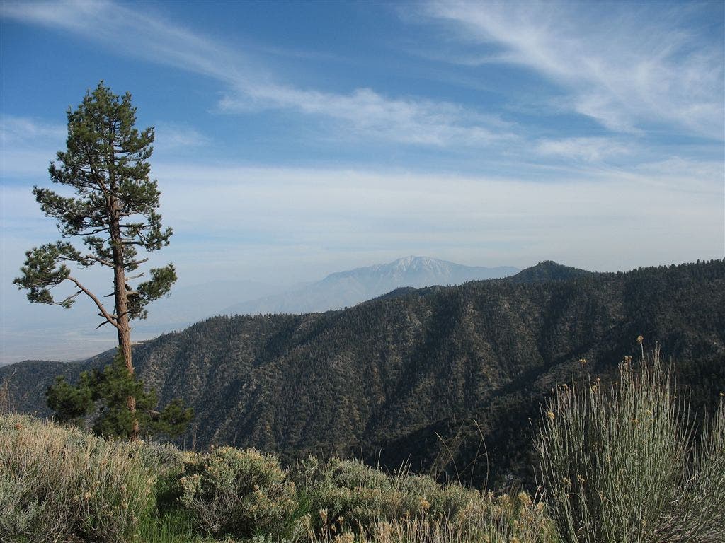 Ridgeline vistas None