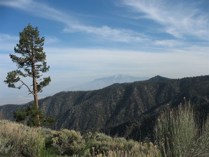 Ridgeline vistas None