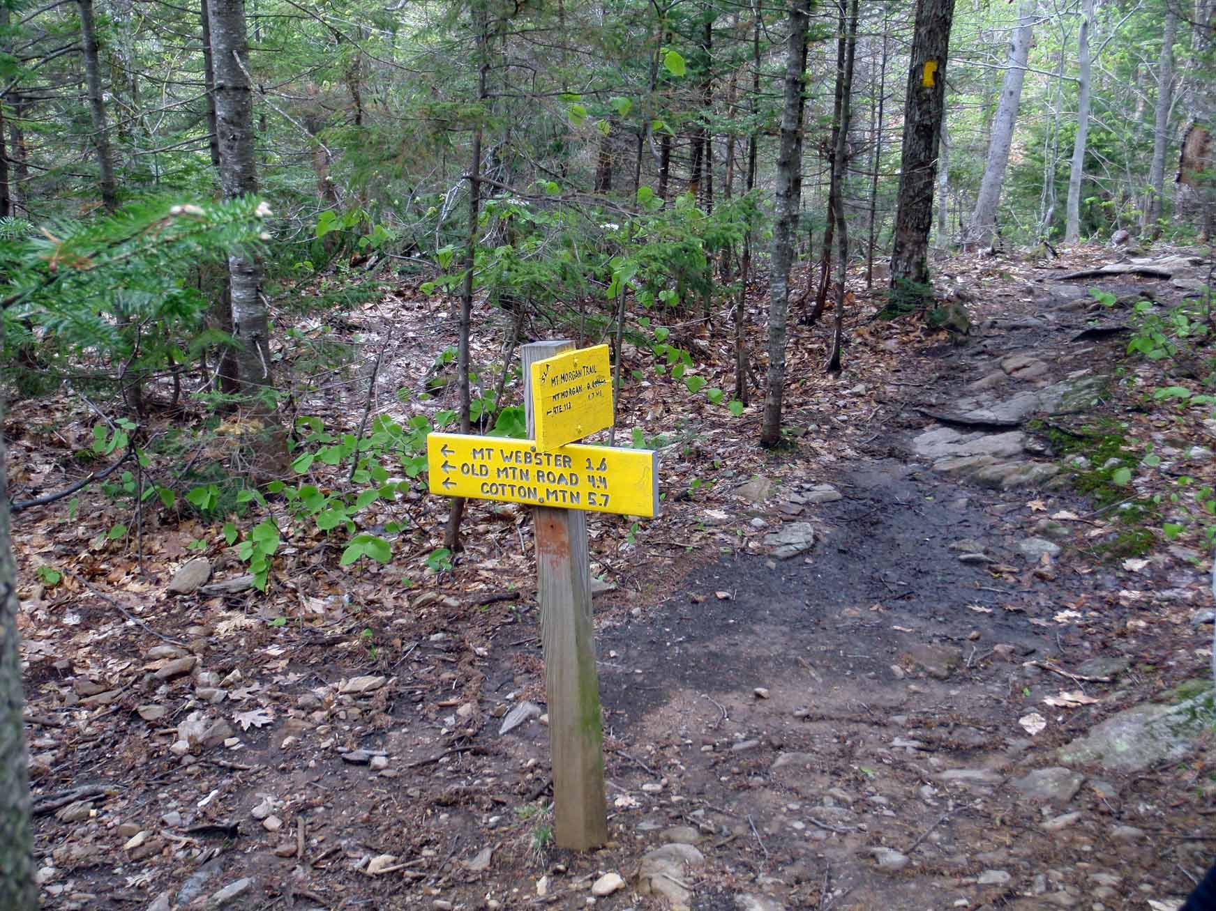 Ridgepole Junction None