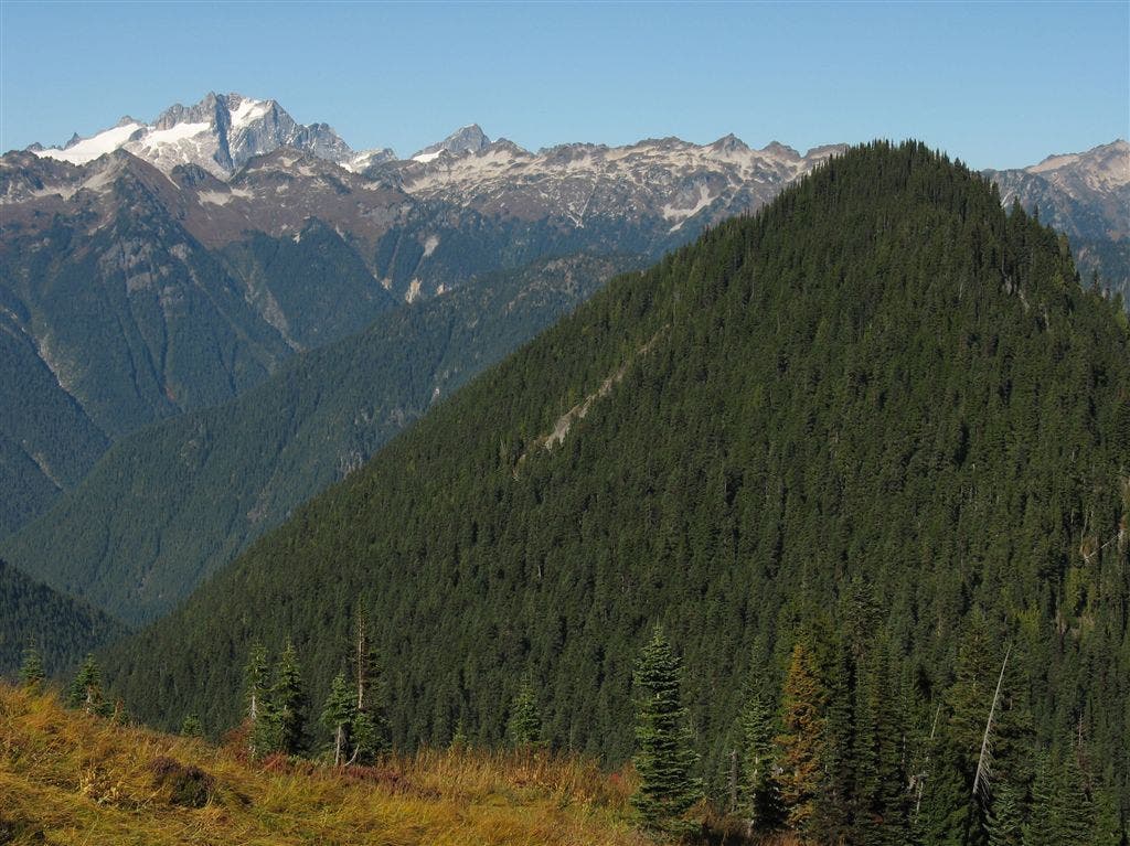 Ridges and Valleys None