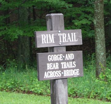 Rim Trail None
