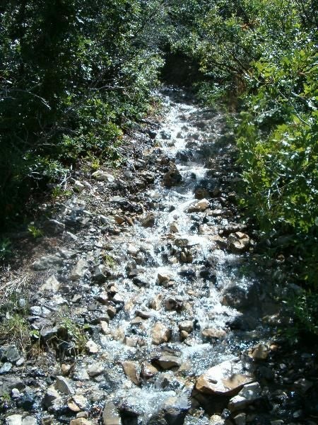 River None
