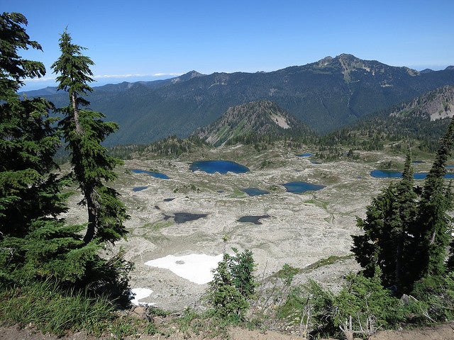 Seven lakes loop shop olympic national park