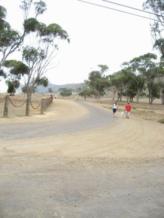 Road None