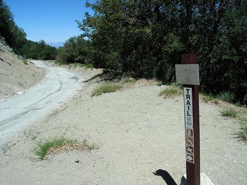 Road 12W24 None