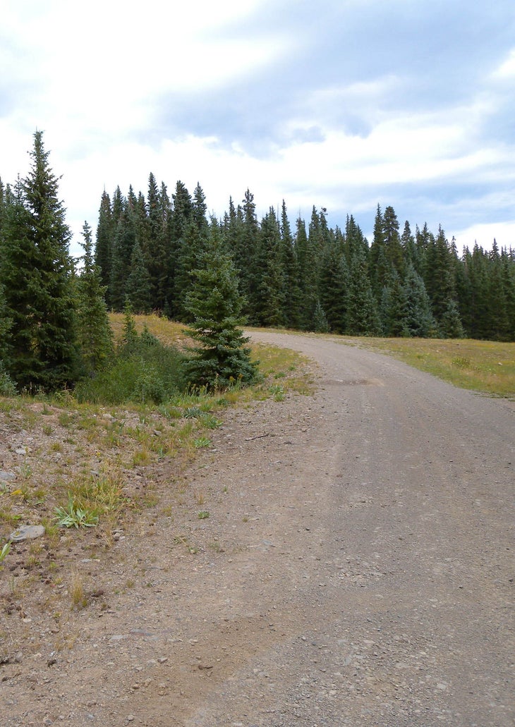 Road None