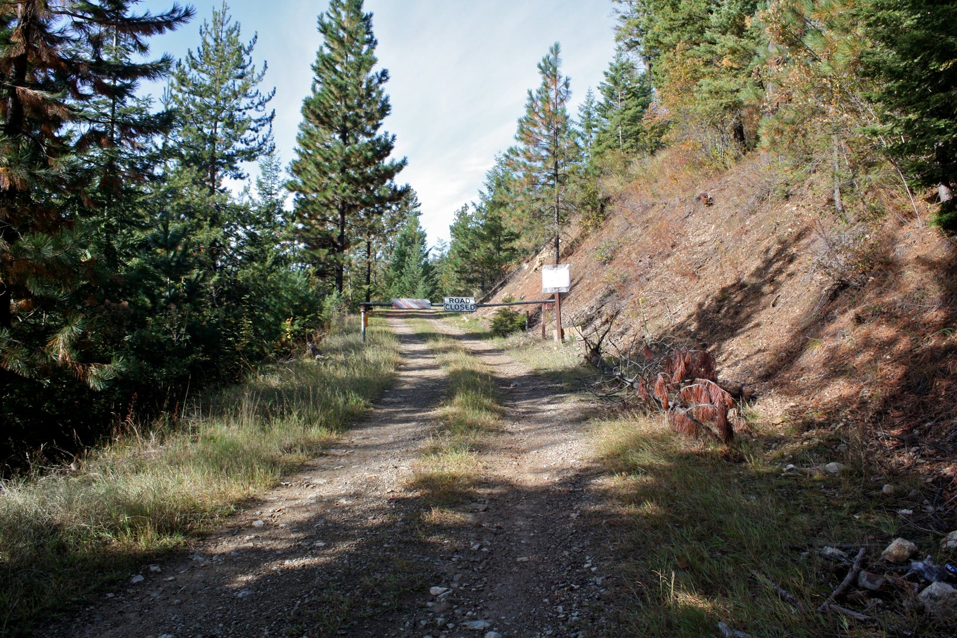 Road Closed Sign None