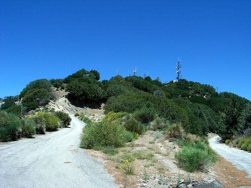 Road to Mt. Disappointment None